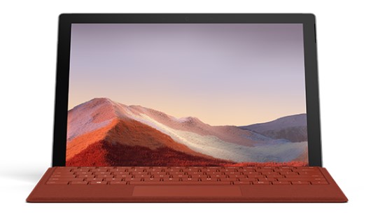 滨湖清洁和维护 Surface